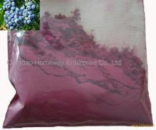 Freeze Dried Blueberry Powder