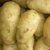  Irish   Potato es and Sweet Potaotes