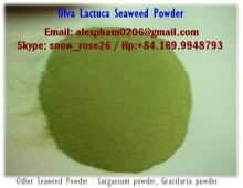 ULVA LACTUCA SEAWEED POWDER
