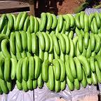 FRESH DEL MONTE BANANAA