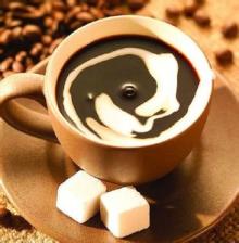 Non-Dairy  Creamer  for coffee  sweetened   condensed   creamer 