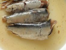 Canned sardines in oil