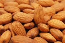 Sweet apricot Kernels (Almonds)
