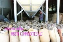 Robusta Coffee
