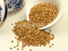 Roast  Buckwheat   Kernel 