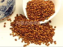 sorghum