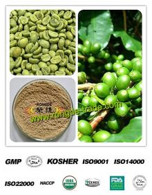 green 100% natrual pure green coffee bean extract