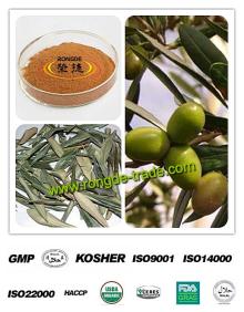 pure nature olive leaf extract  oleuropein  10-80% hydroxytyrosol 5%- 20 %