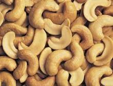  Raw   Cashew   Nuts  For Sale