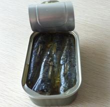 canned  sardine  in  oil 