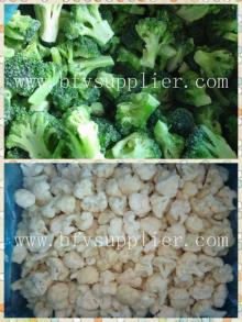 wholesale IQF Frozen broccoli slice