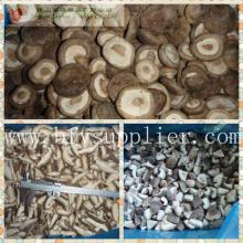 wholesale IQF Frozen Shiitake/Forest mushroom whole/slice/cut