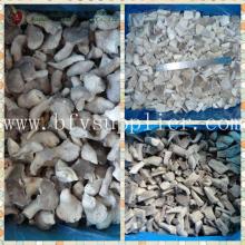 wholesale IQF Frozen oyster mushroom cube