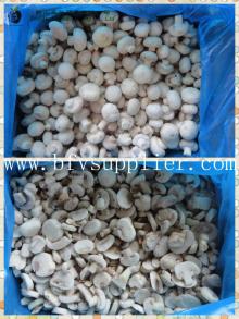 wholesale IQF Frozen champignon mushroom whole/block