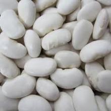 VARIOUS SIZES OF WHITE KIDNEY BEANS