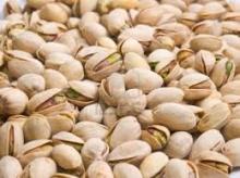 Raw Pistachio Nut for sale