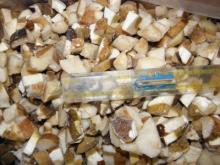 Porcini Boletus Edulis cubed
