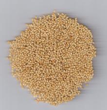  natural   sesame   seeds 