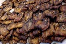 dry fish
