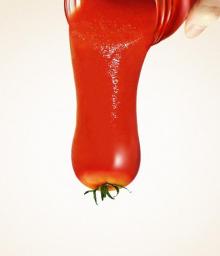 Sell  Ketchup / Tomato   Paste 