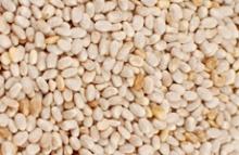 white sesame seeds
