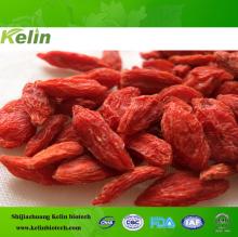 china ISO factory supply best price organic goji berry