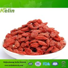 china GMP factory supply 2014 best  organic   goji   berry   price 
