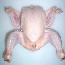 Frozen whole Chicken