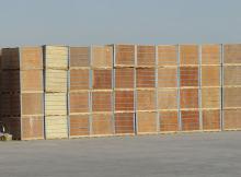 Ton  box  28-30 tomato paste from China