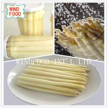 White Asparagus