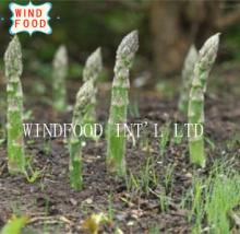 green asparagus
