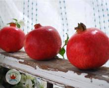 pomegranate