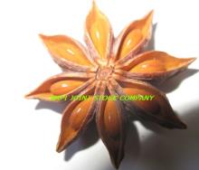 Vietnam  Star   Aniseed  Supplier