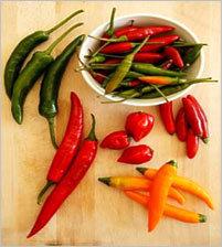 Chilli ( Whole /Dried/ Powder )