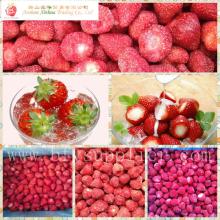 IQF strawberry
