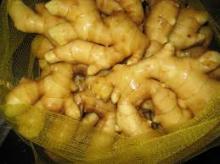  New   Fresh   Ginger 