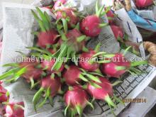 Red Dragon Fruit