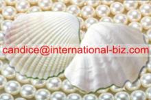Calcium Amino Acid Chelate Powder