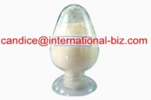 Garlic Powder