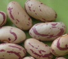light speckled kidney bean