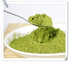 matcha green tea powder
