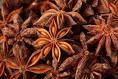 Star Aniseed - Ha Noi