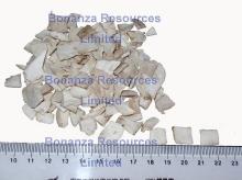Freeze Dried Mushroom Pieces