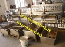 potato grading machine