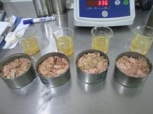 Premium Grade Canned  Tuna  Chunk in Oil