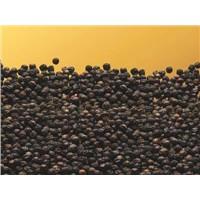  black   pepper  for sale
