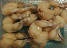 2014 High Quality  Bull  Frog Legs