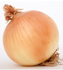 Fresh   yellow  onion