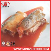  Chinese  high quality Canned  Mackerel 