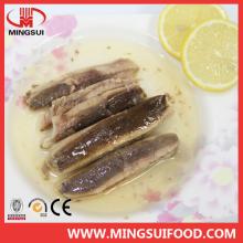 Wholesale Canned Sardine in brine